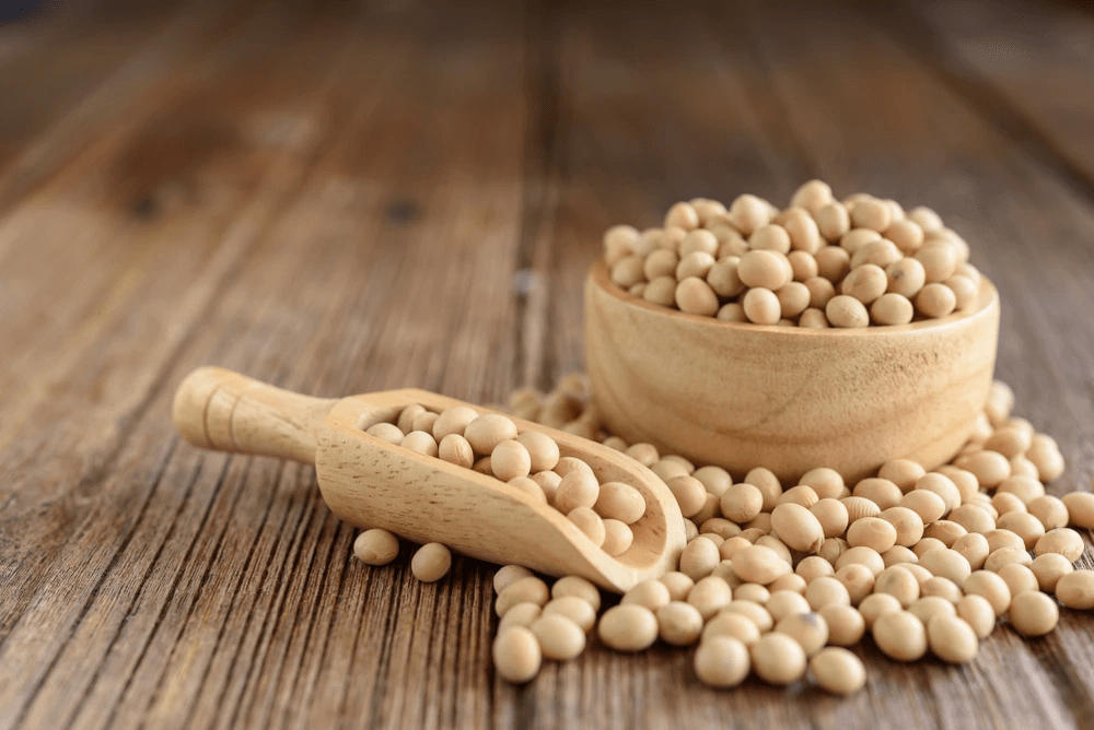 16027438881593750509soybeans.png Soybean or Soya bean